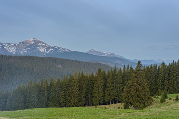 Spring mountain landscape. In the background snow-capped mountains.