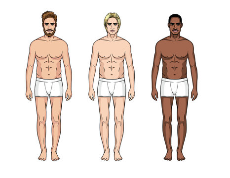 Vector illustration of three men different nationalities in underwear on the white background. Vector  realistic figure of the standing man in front