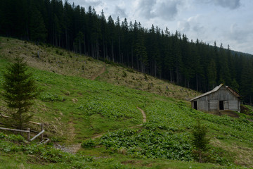 Fototapeta na wymiar Farm in the Carpathian Mountains