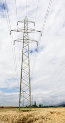 Energie in der Natur - Strommast im Kornfeld