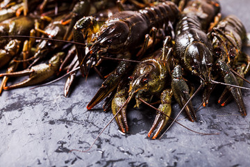 Fresh crayfish close-up