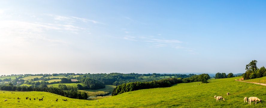 Panoramic Picture of the South Somerset Countryside