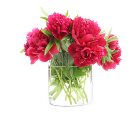 Vase with beautiful bouquet of peonies on white background