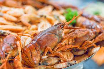 Shrimps and boiled crawfish in selective focus, seafood in Mediterranean restaurant waiting for hungry visitors
