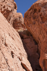 Fototapeta premium Beautiful red rocks in the desert of Valley of Fire, Nevada, USA.