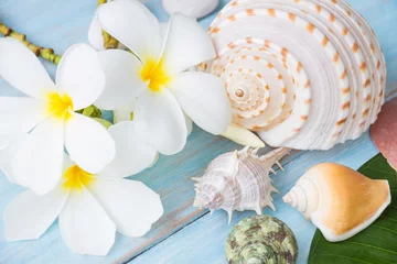Fototapeten Summer concept with seashell and flowers on blue rustic wooden background © arthorn