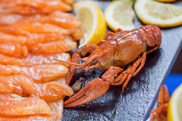 Pieces of red fish fillet, crawfish in selective focus, seafood in Mediterranean restaurant waiting for hungry visitors