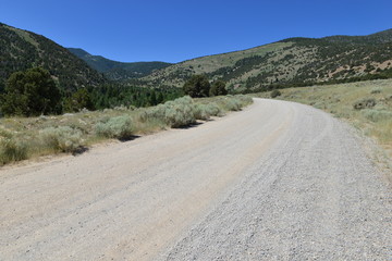 The Great Basin National park in Nevada.
