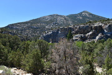 Fototapeta na wymiar The Great Basin National park in Nevada. 