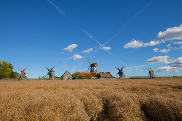 Fototapeta premium Traditional wooden windmills of Saaremaa island, Estonia. Sunny autumn day.