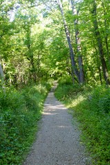 The long straight gravel path in the forest. 