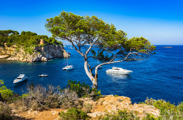 Majorca island, idyllic bay with boats in Portals Vells, Spain Mediterranean Sea