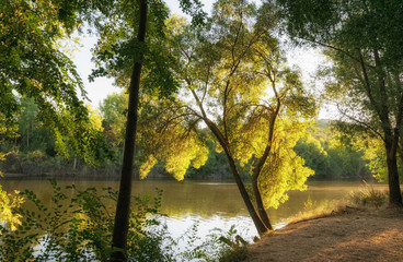 Paisaje al atardecer