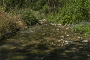 Lesnicky creek in Pieniny national park
