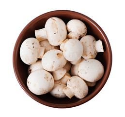 Mushrooms champignons in a plate isolated on white background.