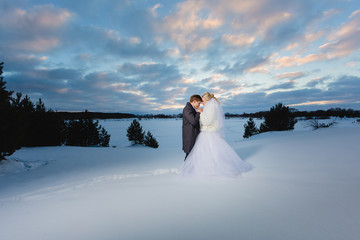 Bride and groom and winter lanscape