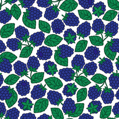 Seamless Pattern of Blackberry
