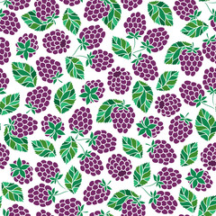 Seamless Pattern of Blackberry