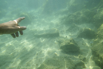 Naklejka premium Swimming underwater