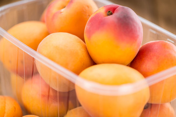 Portion of Apricots
