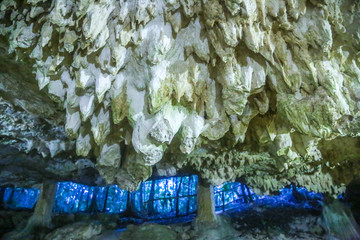 CENOTE 5