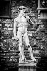 Obraz premium The David of Michelangelo in the Piazza della Signoria Florence 
