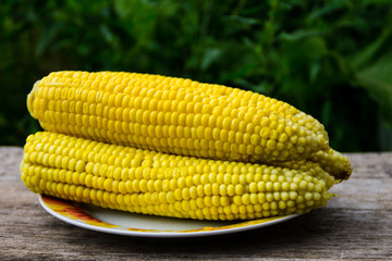 Boiled corn on plate on rustic wooden table