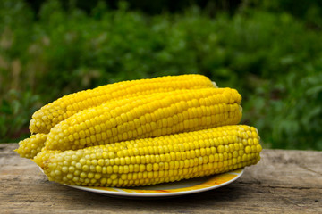 Boiled corn on plate on rustic wooden table