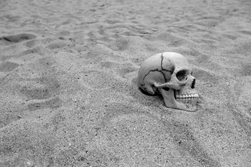 Skeleton remains  buried in the sand