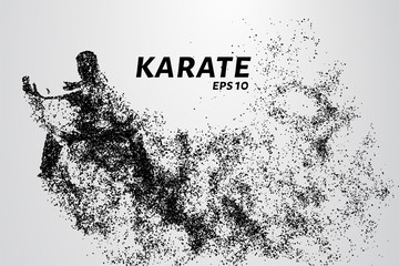 Karate of particles. Karate consists of small circles. © newrossosh