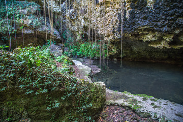 CENOTE TRES REYES 2