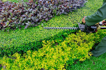 Workers were using electric mower for Gardening.