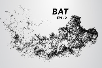 Fototapeta na wymiar Bat out of particles. Bat consists of circles and points. Vector illustration.