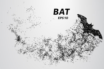 Fototapeta na wymiar Bat out of particles. Bat consists of circles and points. Vector illustration