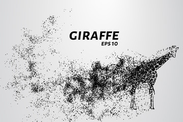 Naklejka premium Giraffe of the particles. The giraffe consists of small circles and dots.