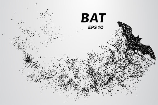 Bat out of particles. Bat consists of circles and points. Vector illustration
