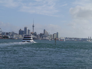 Auckland - Skyline