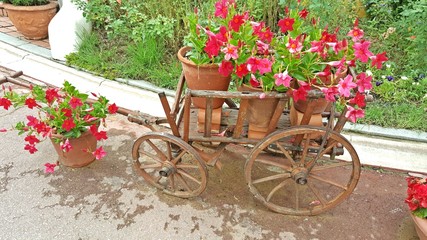 Obraz na płótnie Canvas Flower carriage