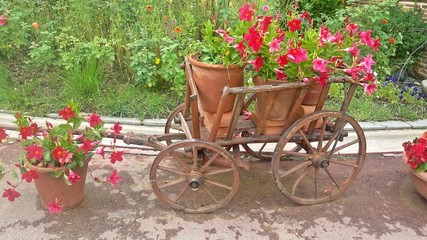 Fototapeta na wymiar Flower carriage