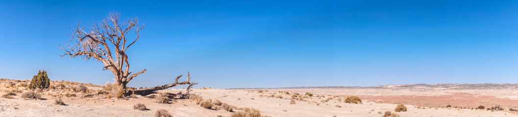Desert lifeless landscape of Utah, USA