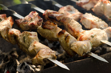 Cooking kebab on the grill