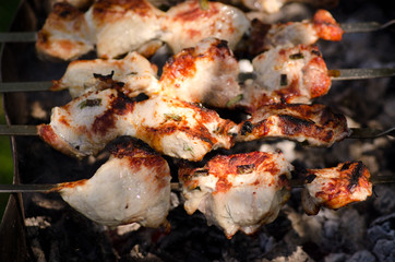 Cooking kebab on the grill