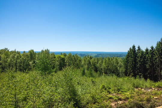 Ausblick mit Fortwirtschaft am Dreil&auml;ndereck Deutschland, Holland, Belgien im Sommer bei Sonnenschein