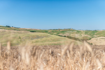 Fototapeta premium dolce vita