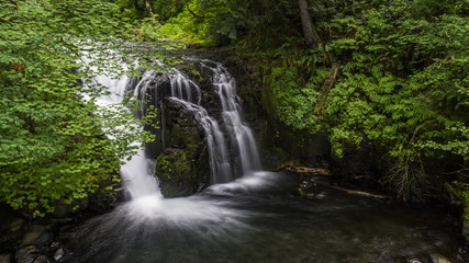 Fototapeta na wymiar waterfall river in forest