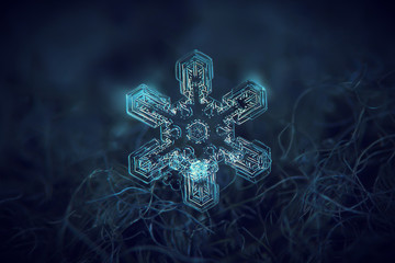 Snowflake glowing on dark blue textured background. Macro photo of real snow crystal: large star plate with simple shape, six straight, broad arms and complex internal structure. 