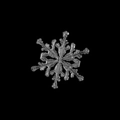 Snowflake isolated on black background. Macro photo of real snow crystal: small stellar dendrite...