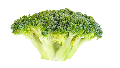 broccoli isolated on white background