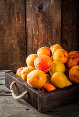 Summer fruits. Fresh raw organic farm apricots in a wooden box, a tray, on an old wooden rustic table. Copy space