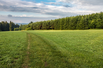 Fototapeta premium Road through green meadow